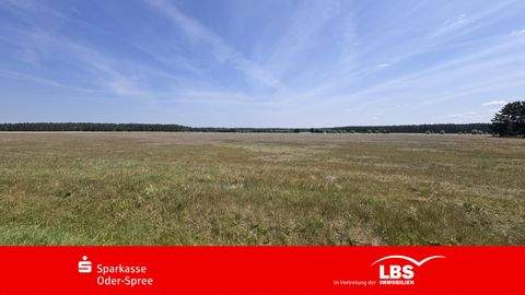 Berkenbrück Bauernhöfe, Landwirtschaft, Berkenbrück Forstwirtschaft