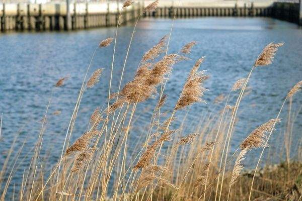 Naturverbunden und Urban