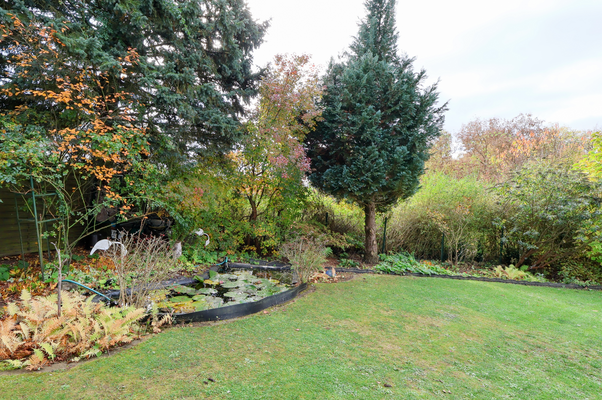 Garten und Teich