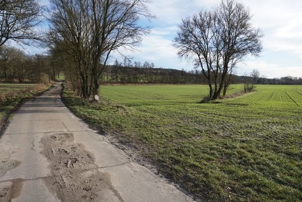 Pommoissel_Acker_Grünland_Immonet_010.jpg