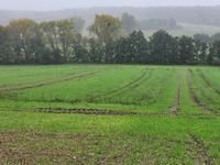 Kalbe (Milde) Bauernhöfe, Landwirtschaft, Kalbe (Milde) Forstwirtschaft