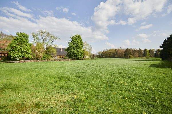 Impression von Schwarme