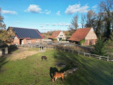 Rahden Häuser, Rahden Haus kaufen