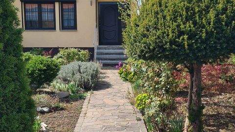 Halle (Saale) Häuser, Halle (Saale) Haus kaufen