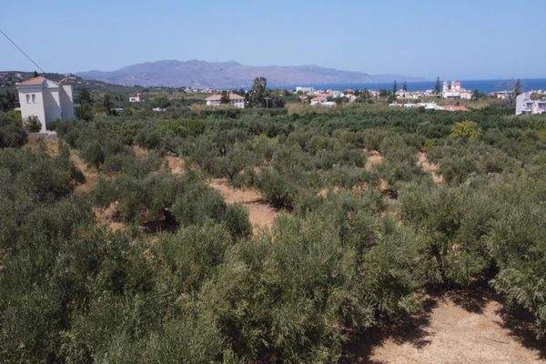Kreta, Maleme: Villa in mediterraner Anlage mit Olivenhain und Meerblick zu verkaufen