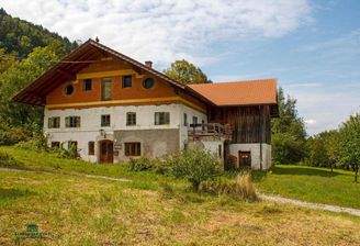 Bauernhof, Immobilien-Kurz-Salzburg