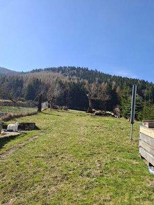 Durchgang zum Wald und wiese