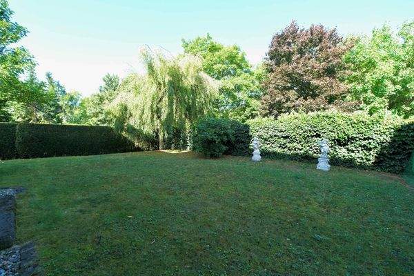 Garten hinter dem Haus