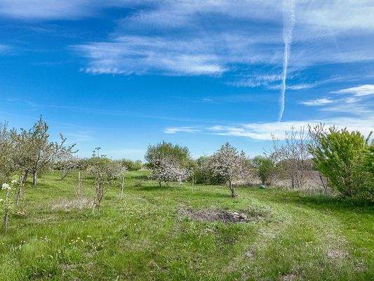 Das großzügige 4.972 m² Grundstück