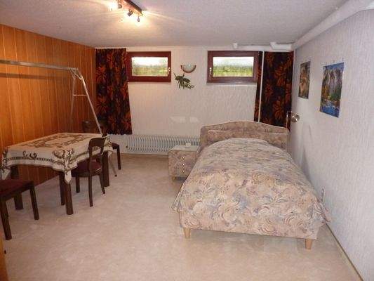 Keller-Hobbyraum mit Fenstern