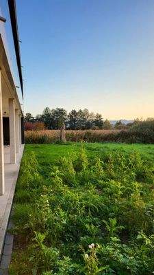 Südsicht Gebäude Grün