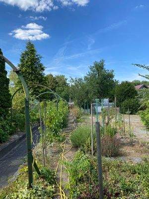 Gemüsegarten nach Norden