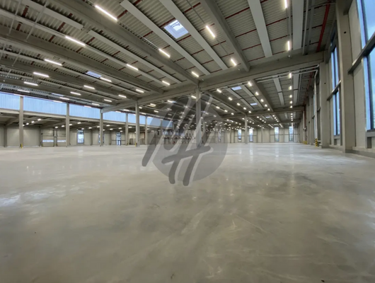 INFOS UNTER: 06171-586000