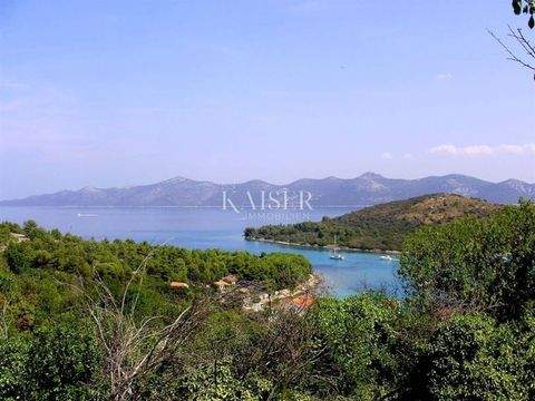 Iz - Rava Bauernhöfe, Landwirtschaft, Iz - Rava Forstwirtschaft