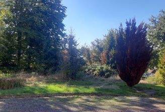 Baugrundstück in Waldbröl