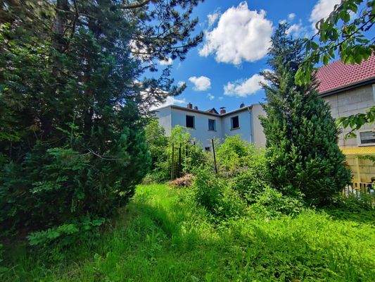 Blick aus dem Garten