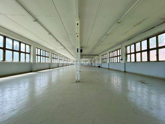 Halle 2 (rechts): Auch hier TOP-Helligkeit