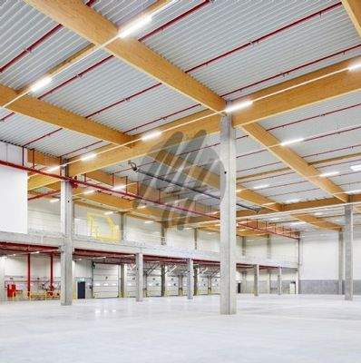 INFOS UNTER: 06171-586000