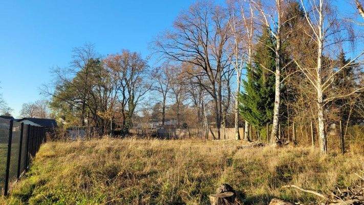 Baugrundstück - Blick zur Straße