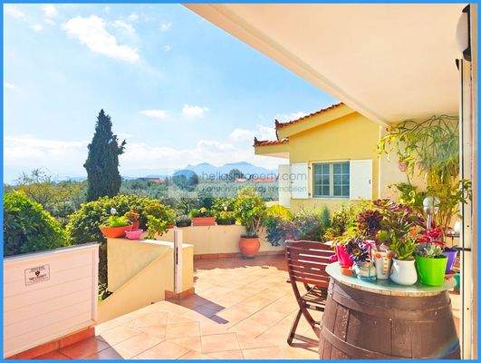 56fa9a3493cf4610a6217b3a9a3ee2a3-original