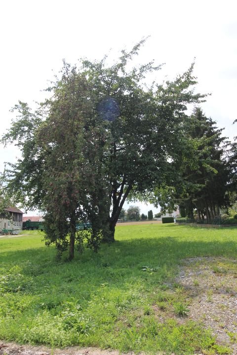 Wallersdorf Häuser, Wallersdorf Haus kaufen