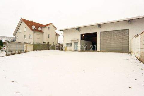 Neulussheim Halle, Neulussheim Hallenfläche