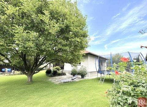 Mollersdorf Häuser, Mollersdorf Haus kaufen