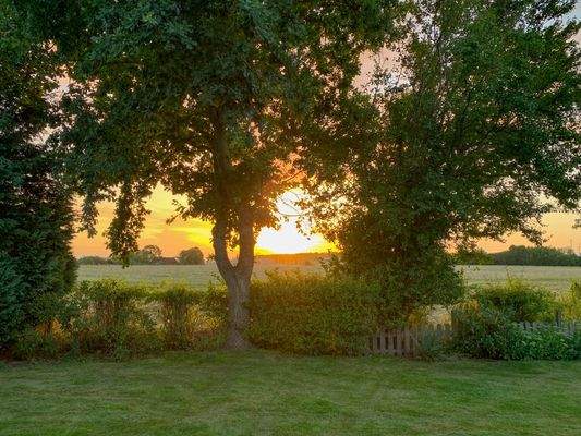 14. Der Blick über die Felder im Sommer.jpg