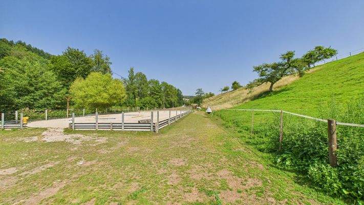 CAM01984G0-PR0509-STILL091