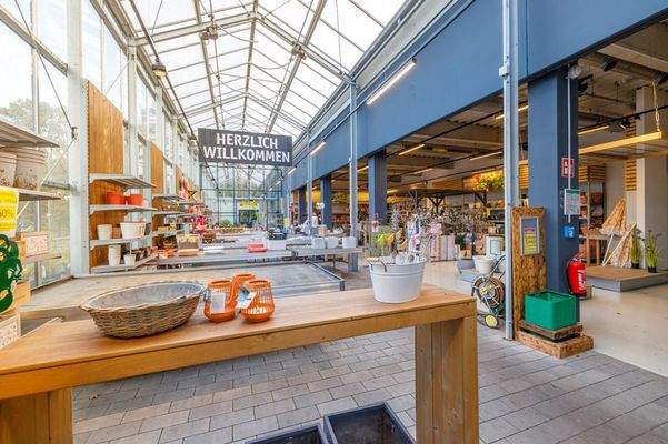 Verkaufsfläche im Gewächshaus 1