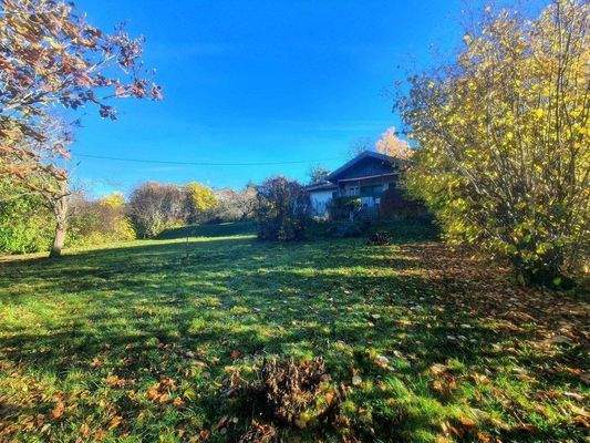 Viel Garten, viel Sonne