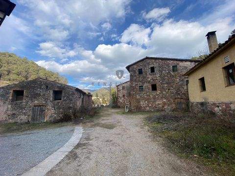 Tagamanent Renditeobjekte, Mehrfamilienhäuser, Geschäftshäuser, Kapitalanlage