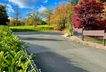 IMG_8138.jpeg
