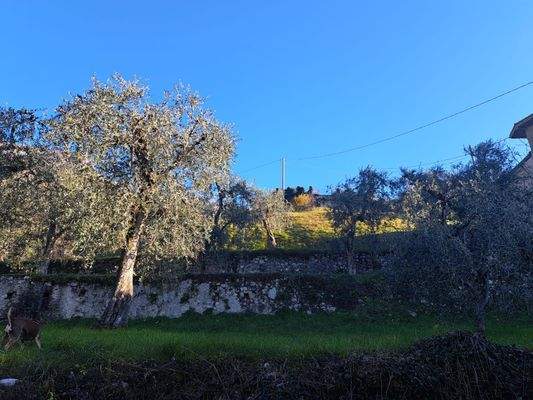 casolare a malcesine  (14).jpg