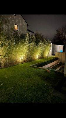 Vorgarten Nachtbeleuchtung 