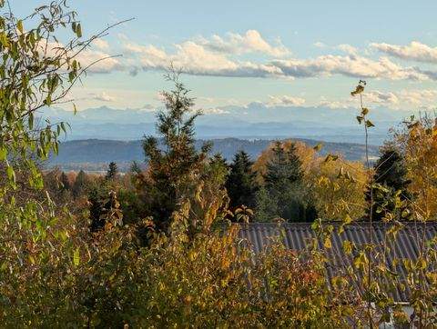 Heiligenberg Wohnungen, Heiligenberg Wohnung kaufen