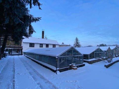 Aken (Elbe) Häuser, Aken (Elbe) Haus kaufen