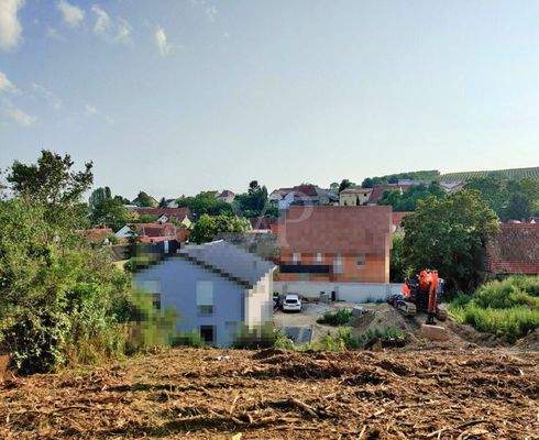 Blickrichtung Westen im Sommer 2021