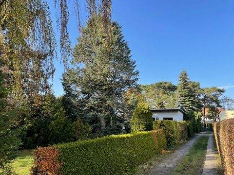 Grünheide Grundstücke, Grünheide Grundstück kaufen