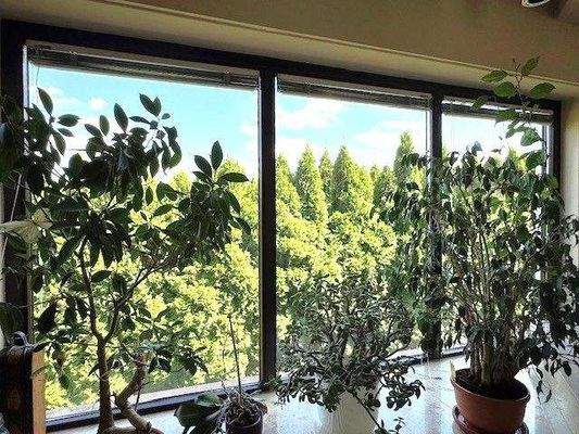 EG: Wohnbereich mit Panoramafenster 