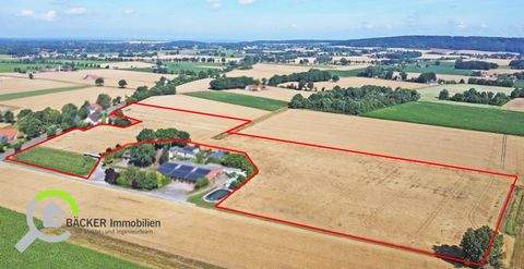 Stemwede Bauernhöfe, Landwirtschaft, Stemwede Forstwirtschaft