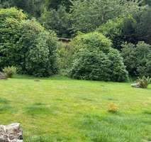 c6c4fe27-a88c-49d1-93d1-0479afe29b2a-1935312307.jp