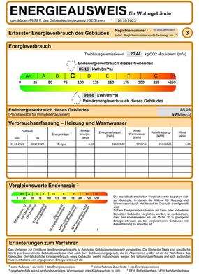 Energieausweis (Auszug)