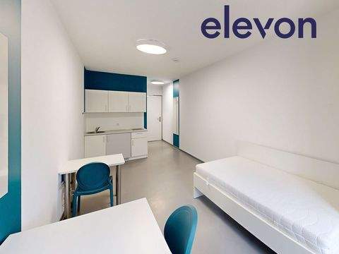 Frankfurt am Main Wohnungen, Frankfurt am Main Wohnung mieten