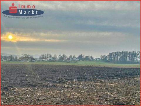 Hille Bauernhöfe, Landwirtschaft, Hille Forstwirtschaft