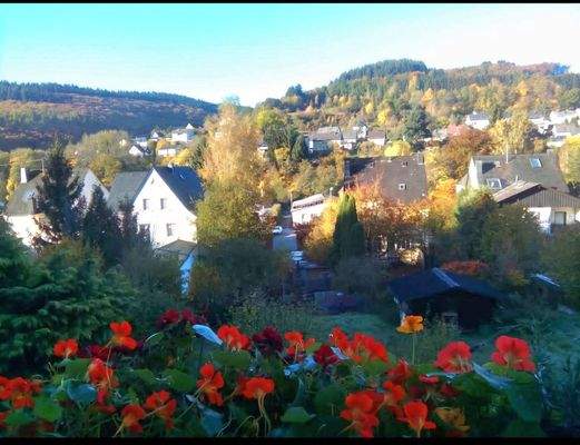 Bild 25