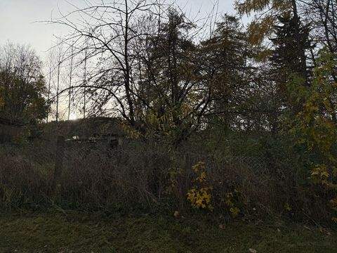 Friedrichroda Bauernhöfe, Landwirtschaft, Friedrichroda Forstwirtschaft