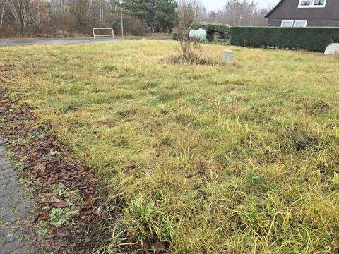 Muldestausee Grundstücke, Muldestausee Grundstück kaufen