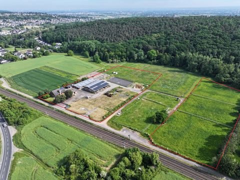 Alfter Bauernhöfe, Landwirtschaft, Alfter Forstwirtschaft