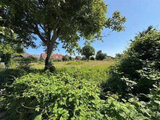 Grundstück vor Baubeginn